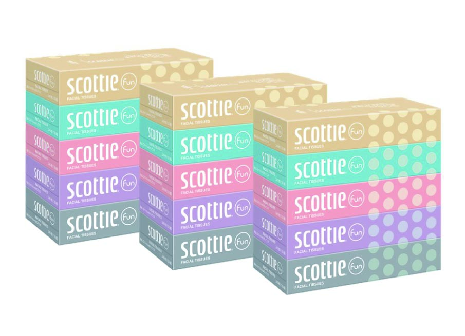 スコッティ ティッシュセット