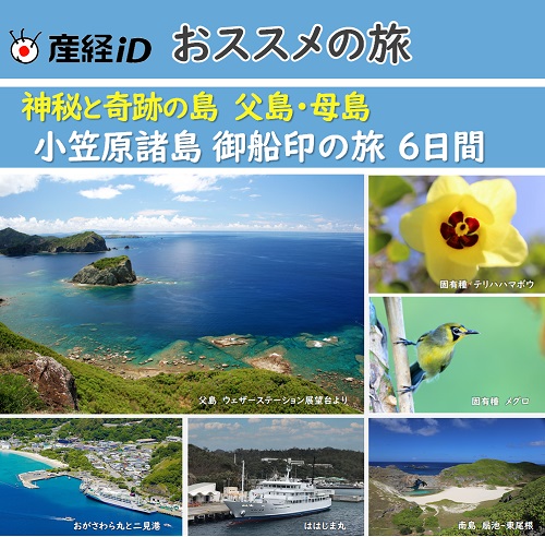 神秘と奇跡の島 世界自然遺産 小笠原諸島（父島＆母島） 6日間【10月31日出発】